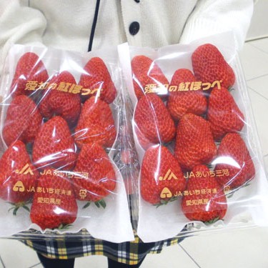 2011.04.13_rinku_blog_1