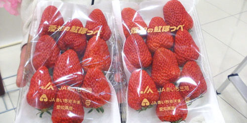 2011.04.13_rinku_blog_1