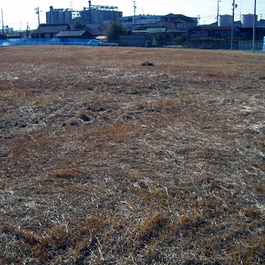 2012.02.24_higashihama_blog_1
