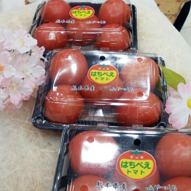 2012.03.16_rinku_blog_1