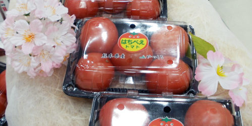 2012.03.16_rinku_blog_1