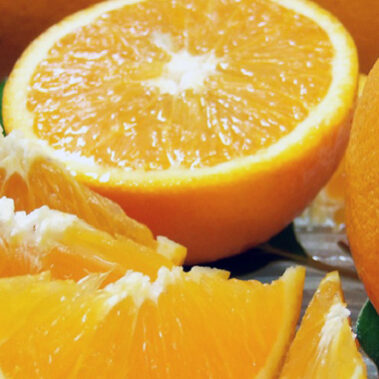 2012.03.23_higashihama_blog_1