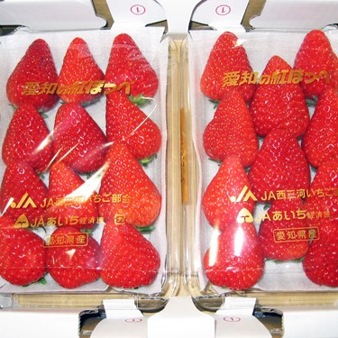 2012.04.06_kinuura_blog_1