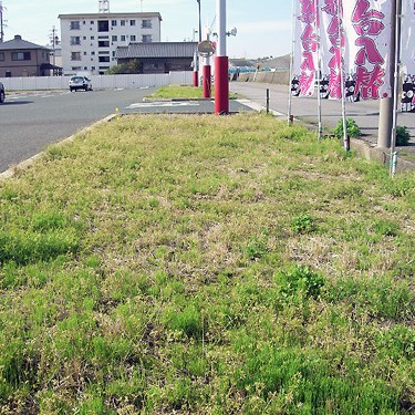 2012.04.20_higashihama_blog_1