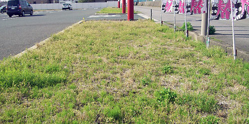 2012.04.20_higashihama_blog_1