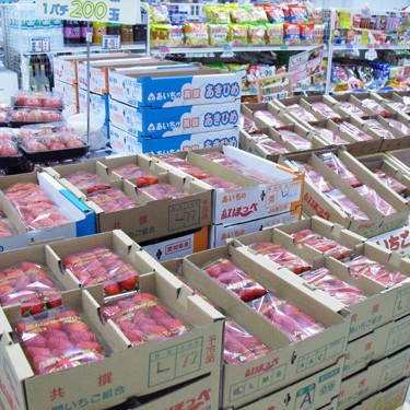 2012.04.27_rinku_blog_1