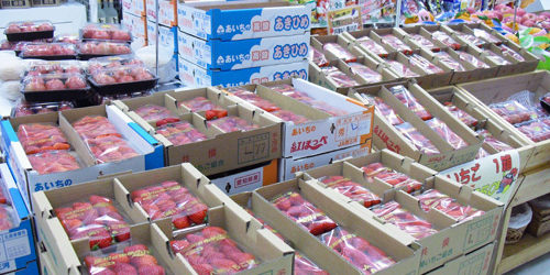 2012.04.27_rinku_blog_1