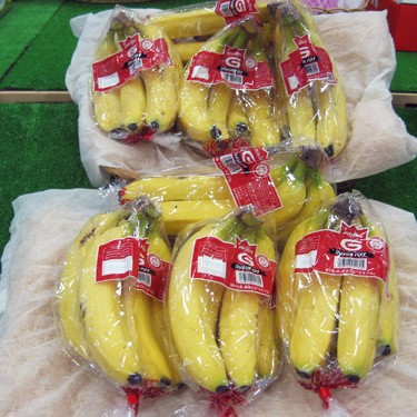 2012.05.18_kinuura_blog_1