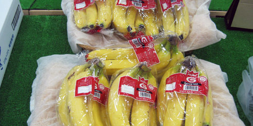 2012.05.18_kinuura_blog_1