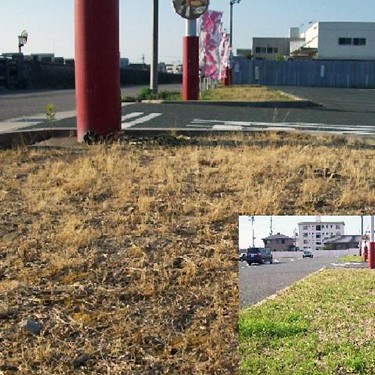 2012.06.22_higashihama_blog_1