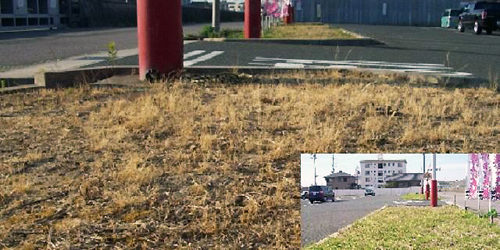 2012.06.22_higashihama_blog_1