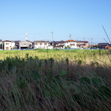 2012.09.21_higashihama_blog_1