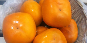 2012.11.09_sumiyoshi_blog_1