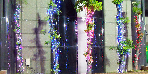 2012.11.23_sumiyoshi_blog_1