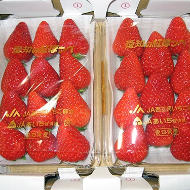 2013.02.01_kinuura_blog_1 私に一番似合うヤツです☆