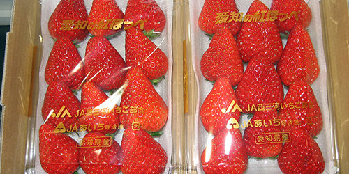 2013.02.01_kinuura_blog_1 私に一番似合うヤツです☆