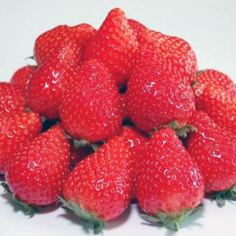 2013.02.22_higashihama_blog_1 美味しそう!!