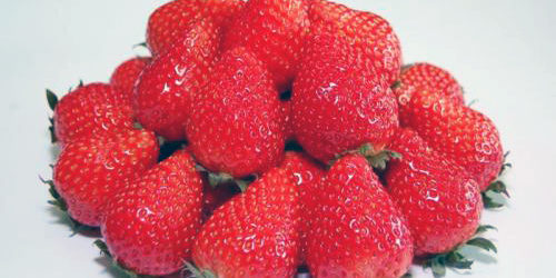 美味しそう！！