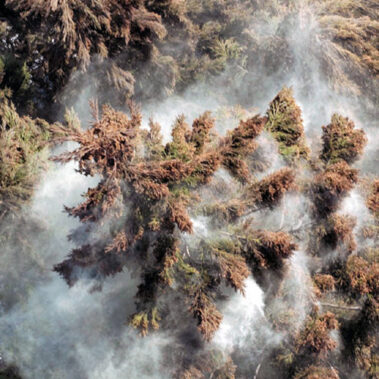 2013.03.27_kuchida_blog_1 もくもくと出てます