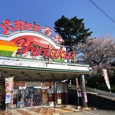 2013.04.11_honten_blog_1 とっても綺麗でした