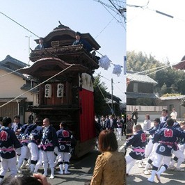 坂井地区の山車。大変活気がありました。