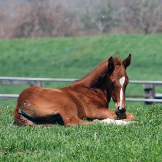 2013.06.07_honten_blog_1 OK牧場!?