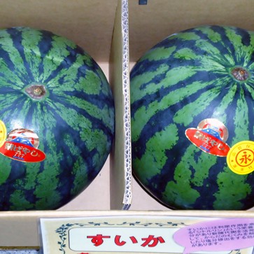 自分的に豊橋産が１番！