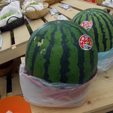 2013.07.19_sumiyoshi_blog_1 スイカ