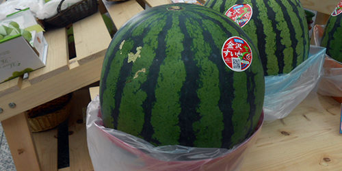2013.07.19_sumiyoshi_blog_1 スイカ