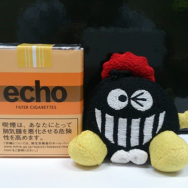 2013.08.28_kuchida_blog_1 注)ボンバー君は、たばこを吸いません