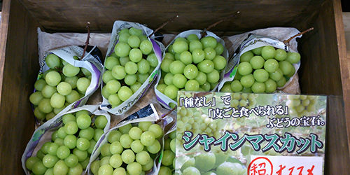 2013.09.11_kuchida_blog_1 シャインマスカット