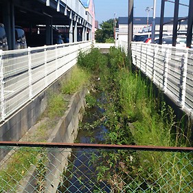 2013.10.11_sumiyoshi_blog_1