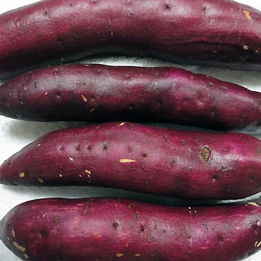 2013.10.25_honten_blog_1