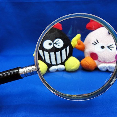 2013.11.22_honten_blog_1