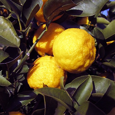 2013.12.11_honten_blog_1