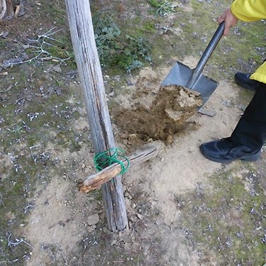 2013.12.18_kuchida_blog_1