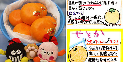 2014.01.29_ekimae_blog_1