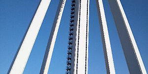 2014.02.03_kyowa_blog_1