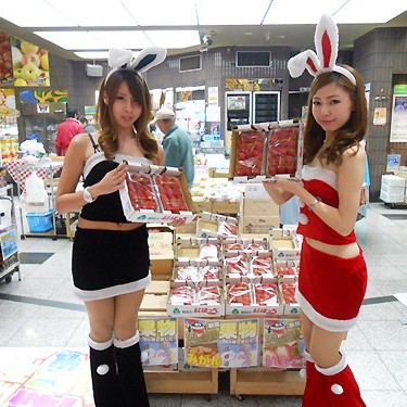 2014.02.14_sumiyoshi_blog_1