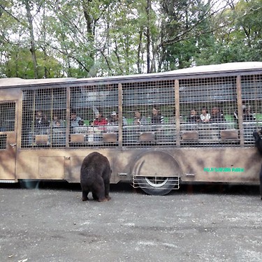 2014.03.19_sunagawa_blog_1