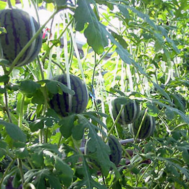 2014.03.24_morioka_blog_1