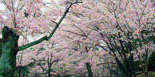 2014.03.26_ekimae_blog_1