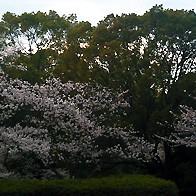 2014.04.14_ano_blog_1