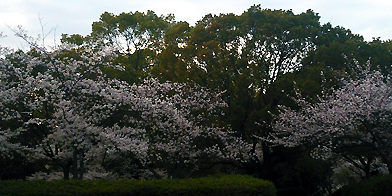 2014.04.14_ano_blog_1