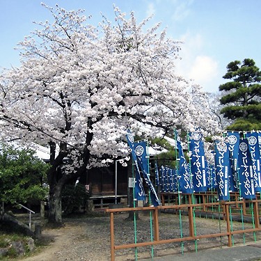 2014.04.16_honten_blog_1