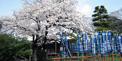 2014.04.16_honten_blog_1