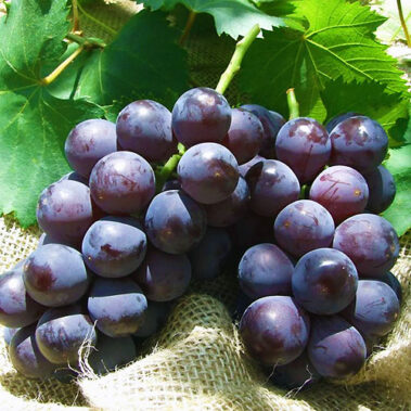 2014.05.05_morioka_blog_1