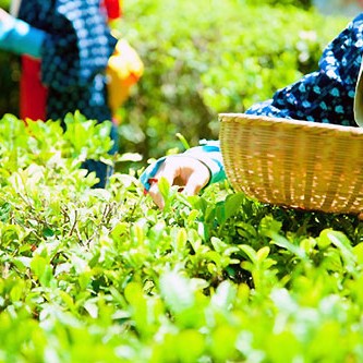 2014.05.07_ekimae_blog_1