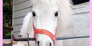 2014.05.21_ekimae_blog_1