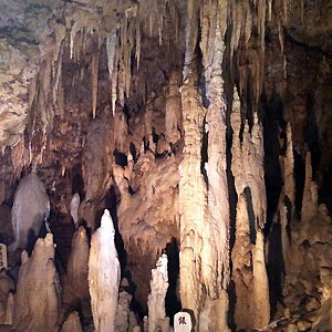 2014.06.23_kyowa_blog_1